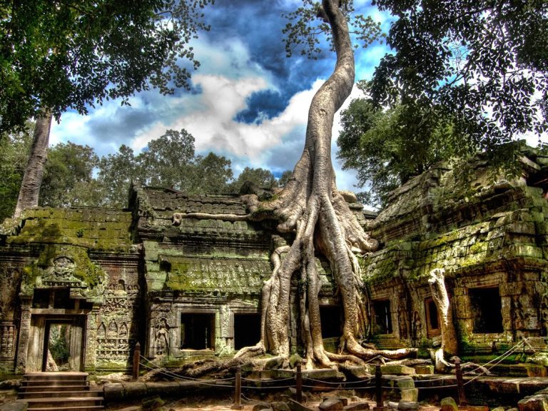 Encounters in Cambodia - 5 Days