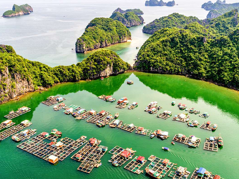 Day 4: Immersing in the Enchanting Lan Ha Bay (B, L, D)